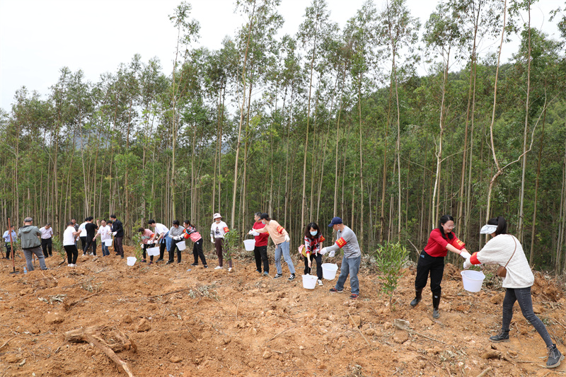 /QJ_793947102189.jpg 6.传递送水浇灌树苗(陈华萍摄).jpg