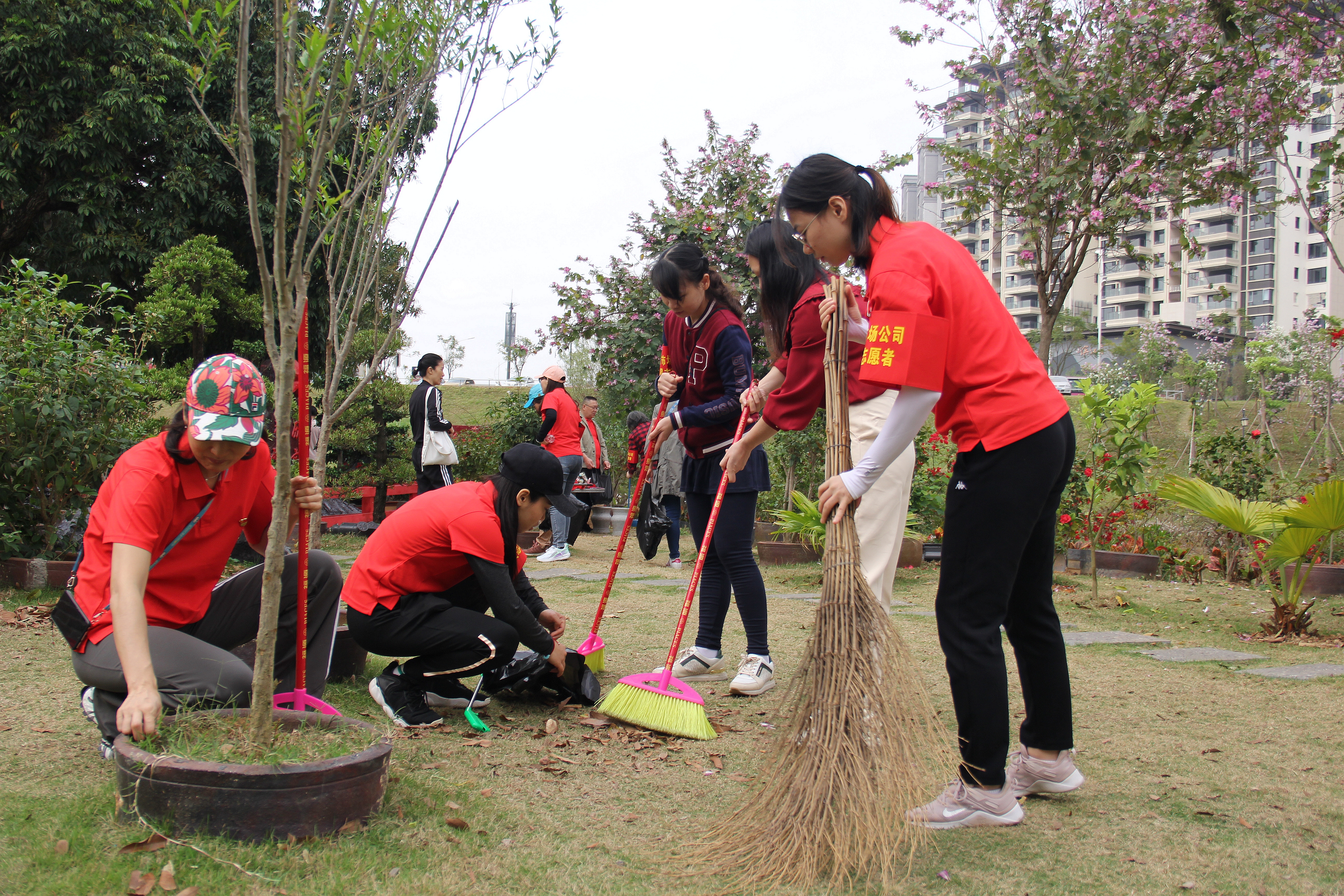 /QJ_675748831655.jpg 党员志愿服务(拍摄:柒红).JPG