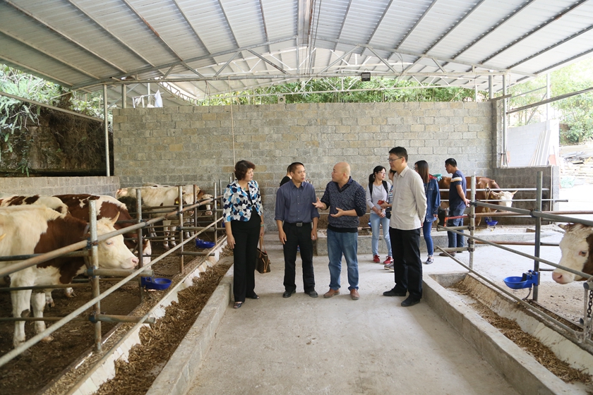 /QJ_901140245527.jpg IMG_2782_副本.jpg