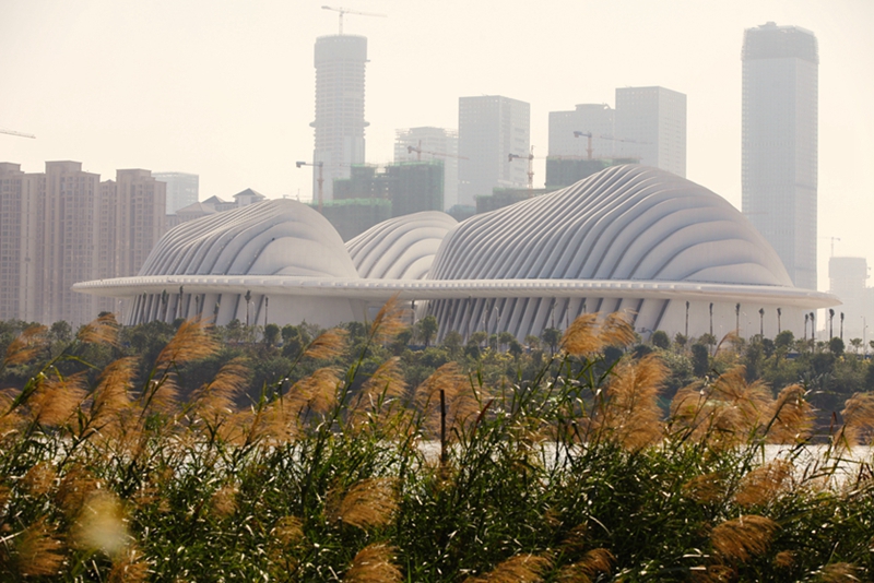 /QJ_367441331292.jpg 2.jpg