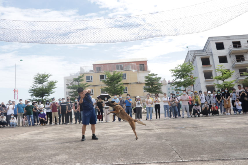 /QJ_342393111228.png 2.png