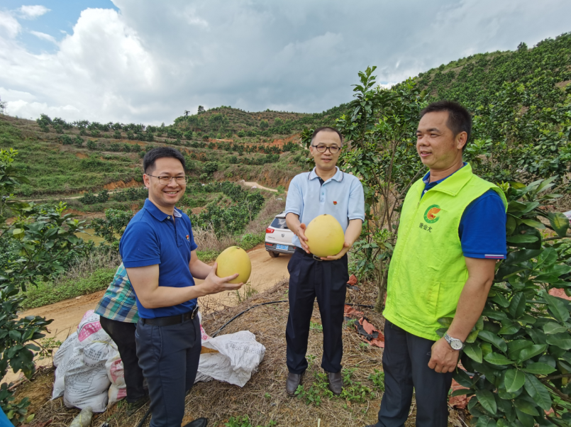 /QJ_100061199129.png 三红蜜柚种植基地调研.png