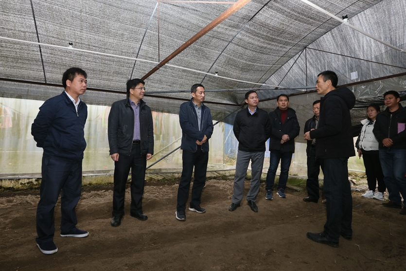 /QJ_329896492289.jpg IMG_5135_副本.jpg