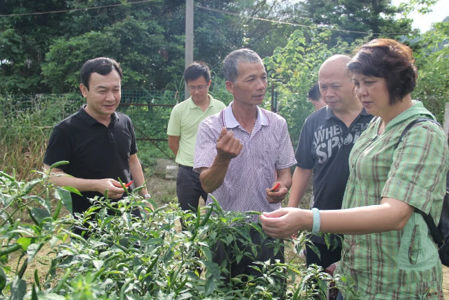 /QJ_985046588119.png QQ截图20200519090739.png